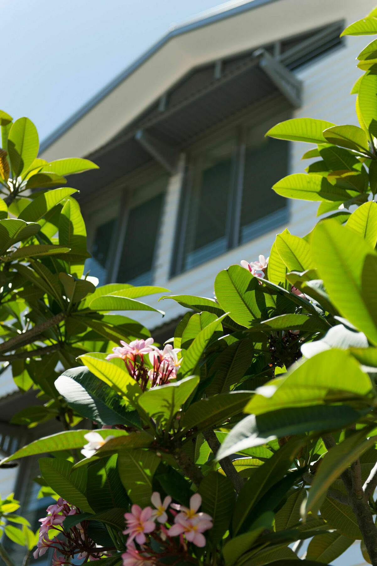 Heart Hotel And Gallery Whitsundays Airlie Beach Exterior photo